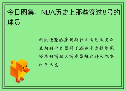 今日图集：NBA历史上那些穿过8号的球员