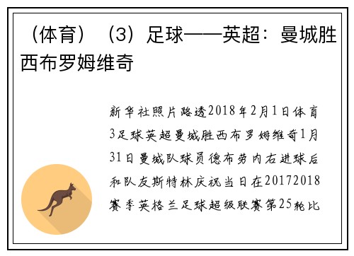 （体育）（3）足球——英超：曼城胜西布罗姆维奇
